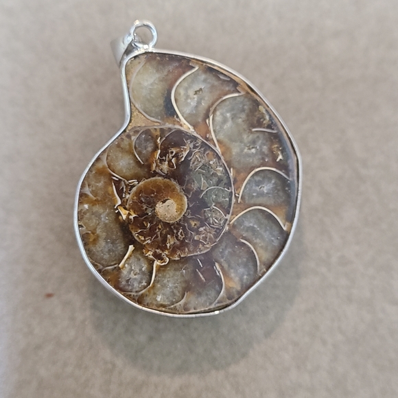 Ammonite fossil pendant - Picture 1 of 2